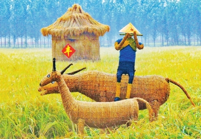 济源稻农地头卖稻创意多